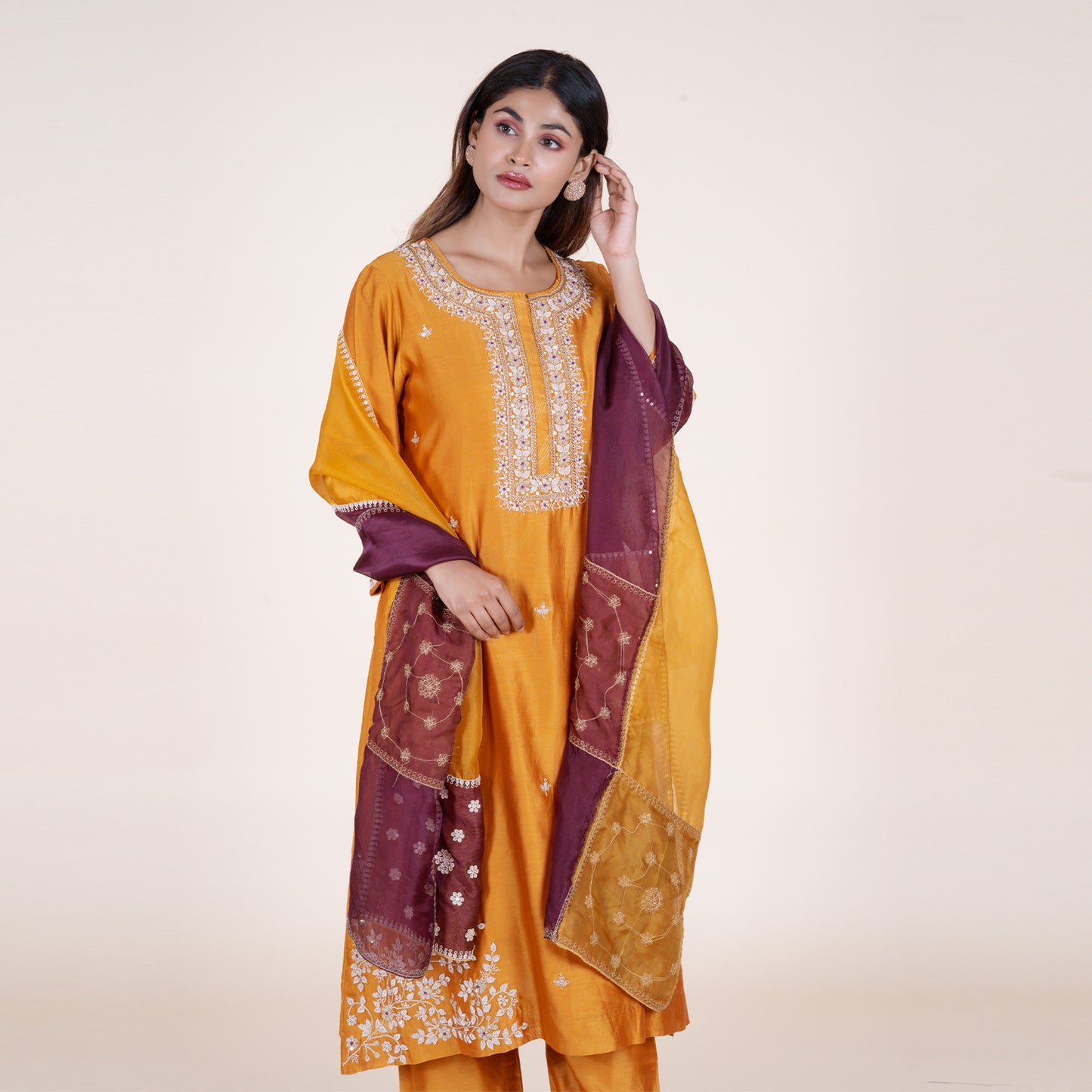 Luxurious Zari & Sequence Set