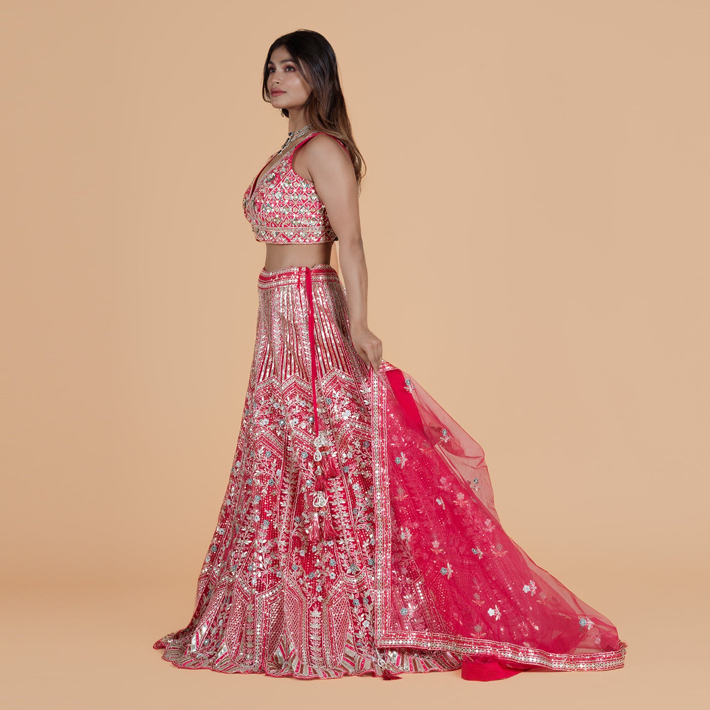 Rani Pink Net Ghagra