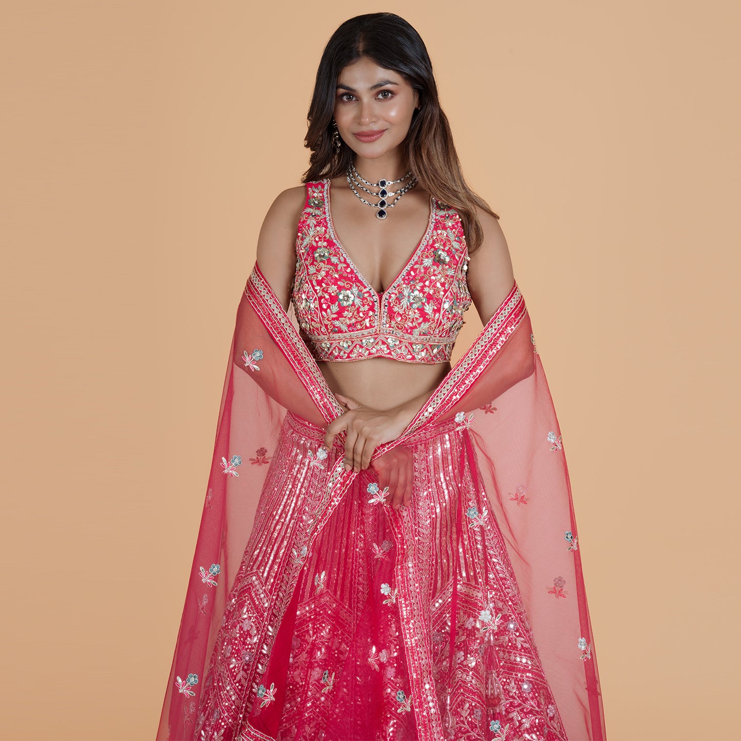 Rani Pink Net Ghagra