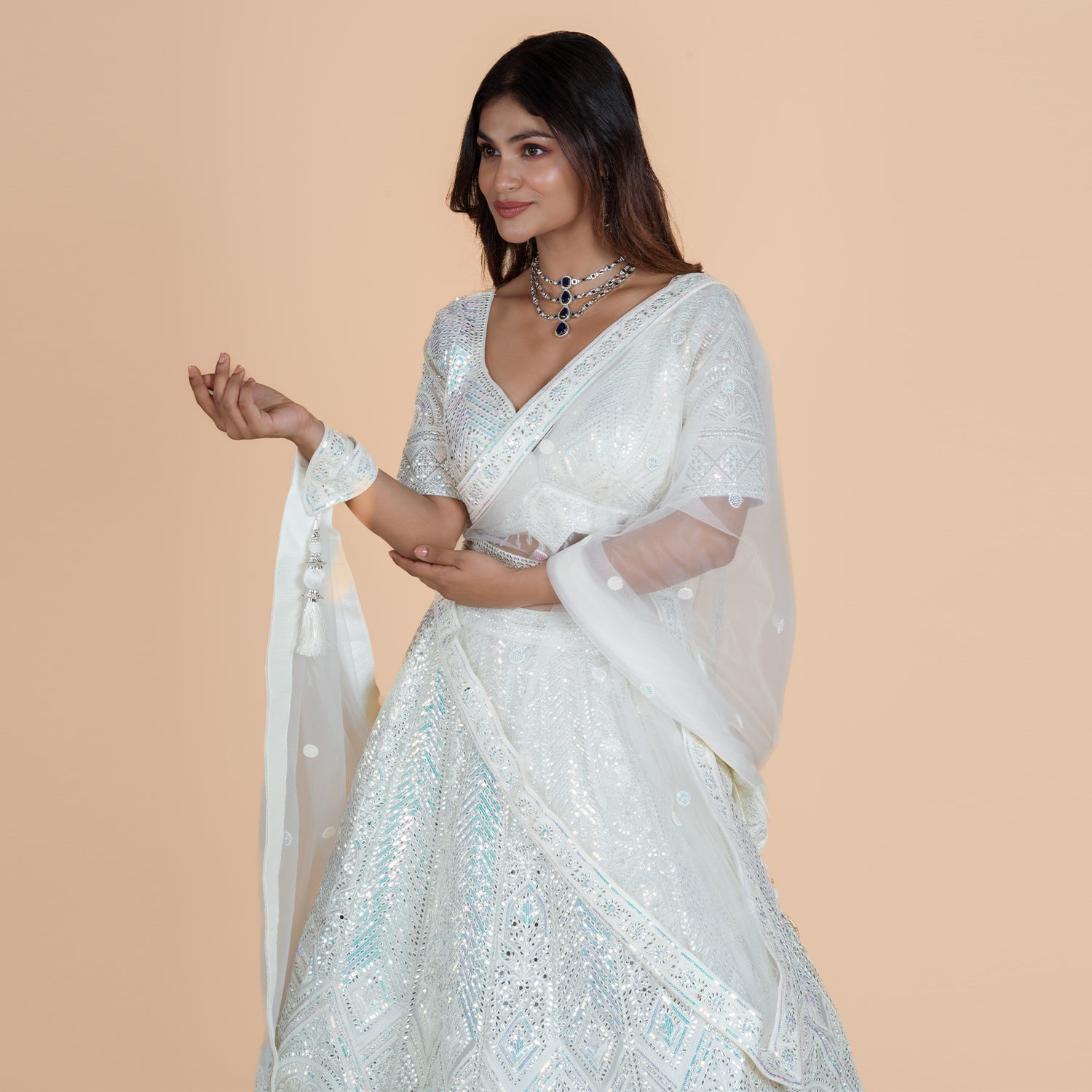 Heavy Net Ghagra with Mirror Work