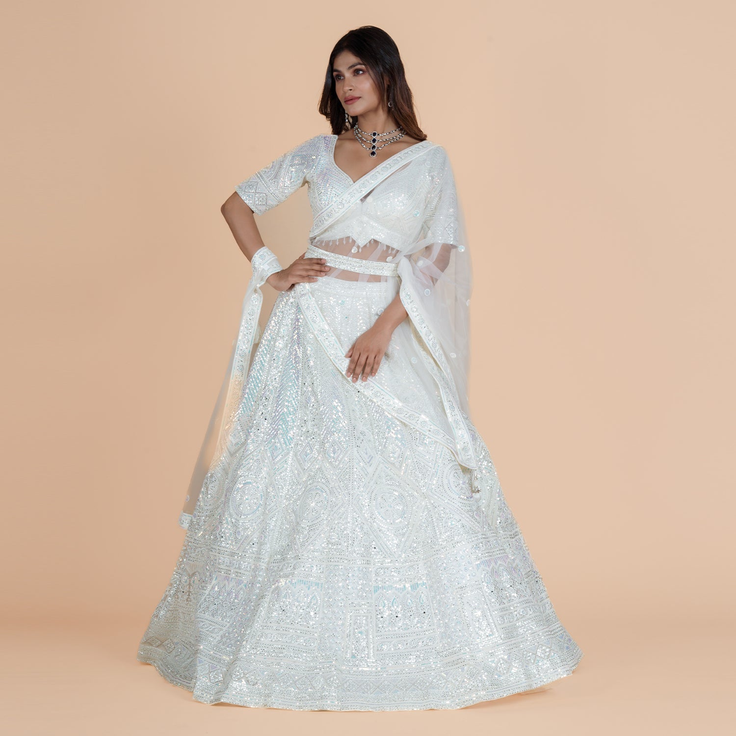 Heavy Net Ghagra with Mirror Work