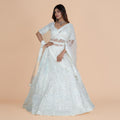 Heavy Net Ghagra with Mirror Work