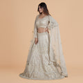 Pulse & Cutdana Net Ghagra