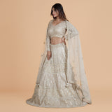 Pulse & Cutdana Net Ghagra