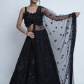 Black Net Ghagra